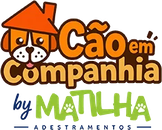 Cão em Companhia